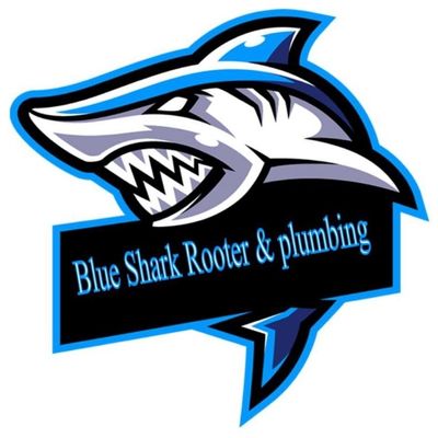 Avatar for Blue Shark Rooter And Plumbing