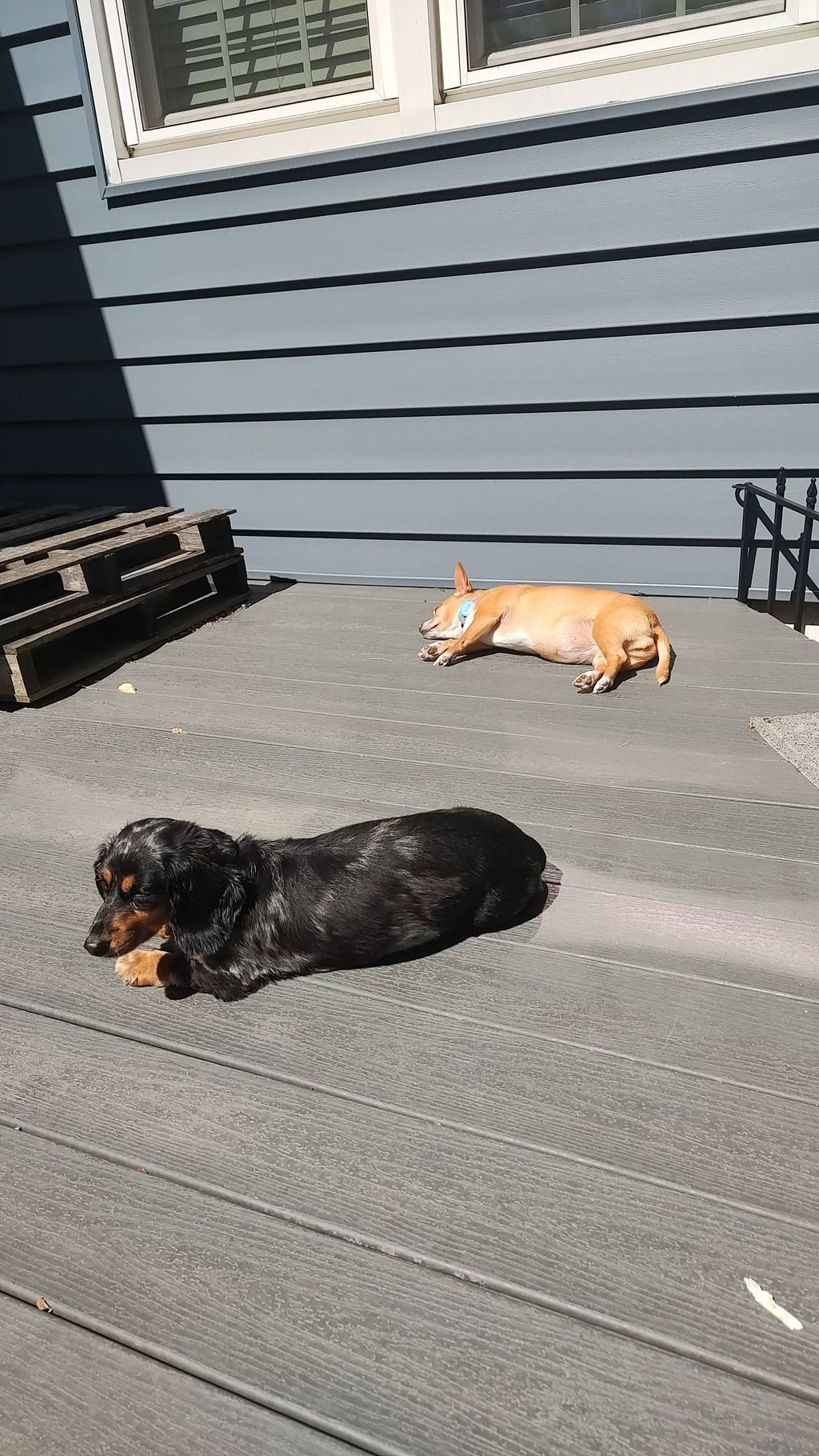Plenty of sun time while you're away 