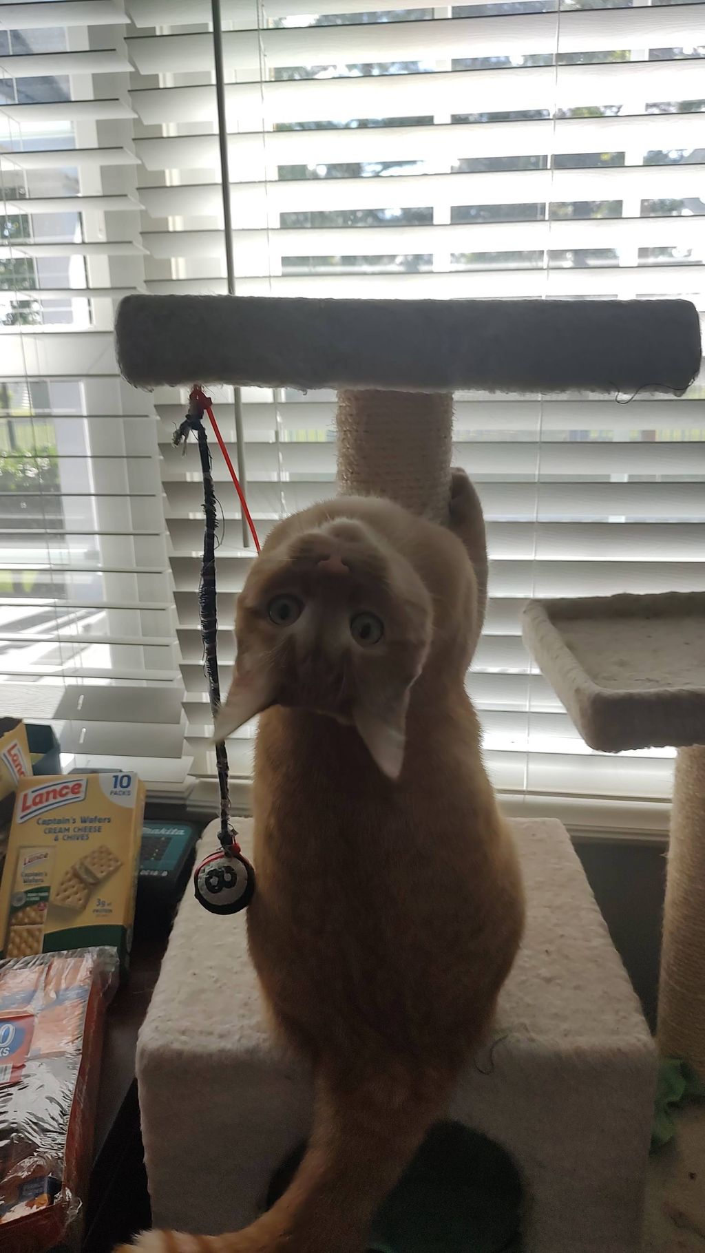 Hudson showing off his silly side while mom's on v