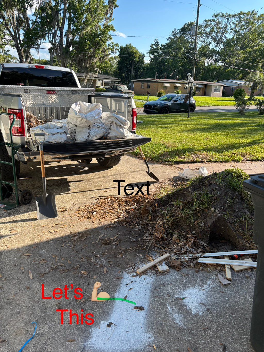 Projects and media