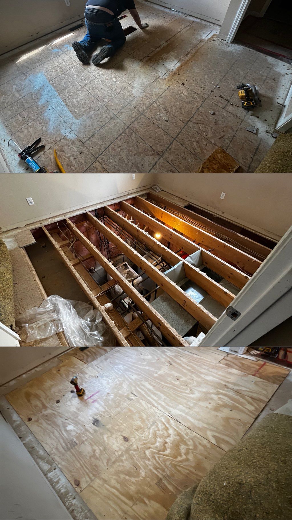 Projects and media
