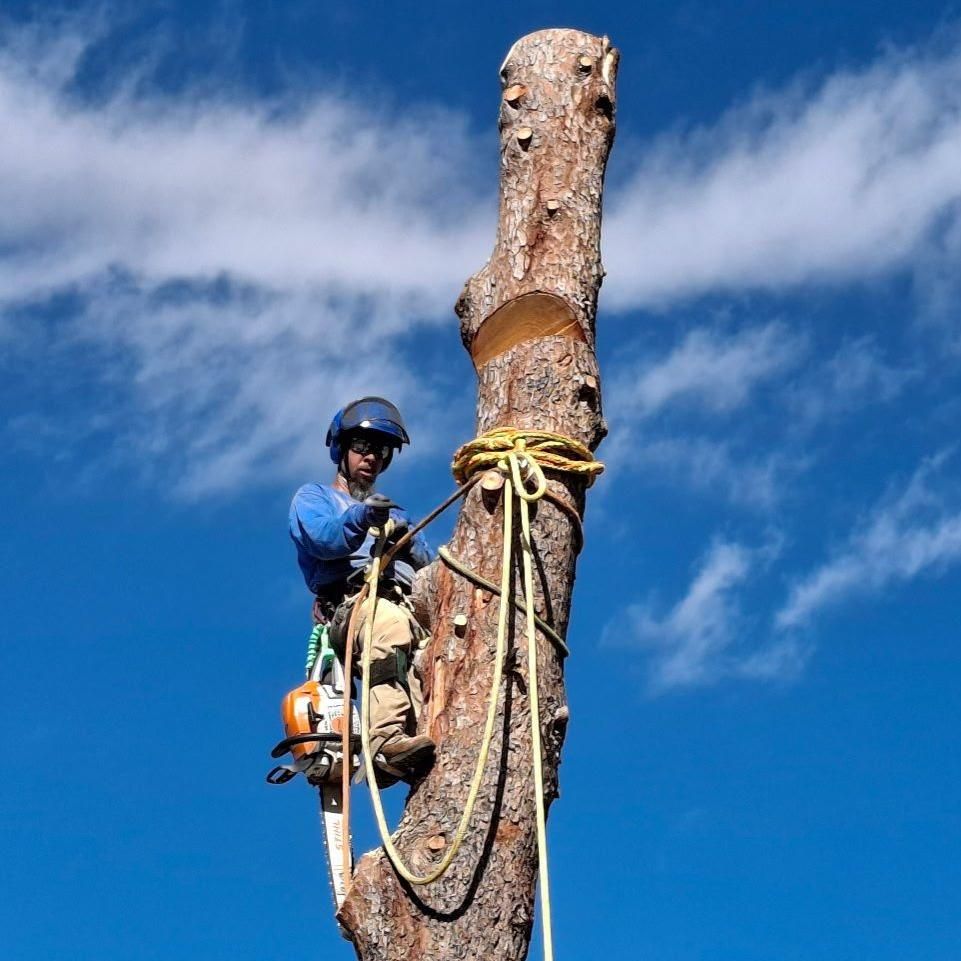 Peron Tree Service LLC