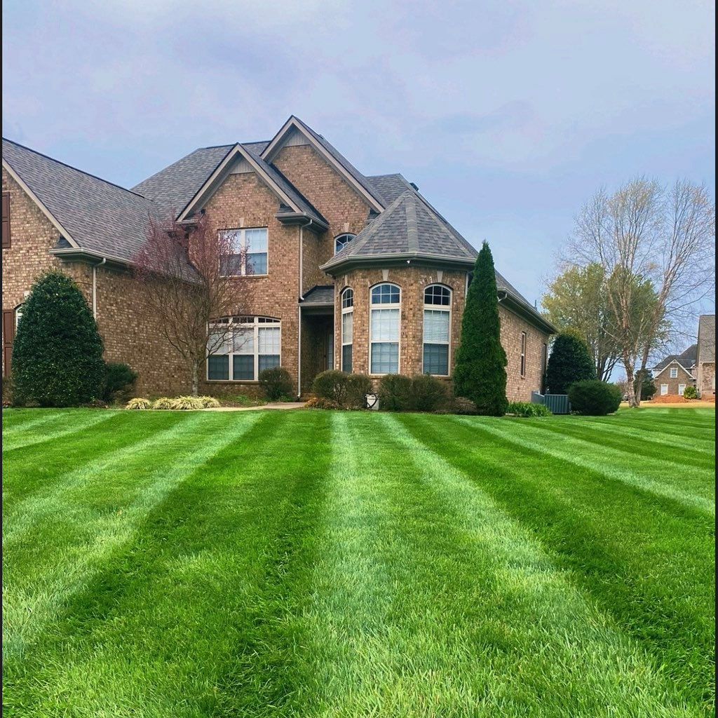 COTZALO LANDSCAPING