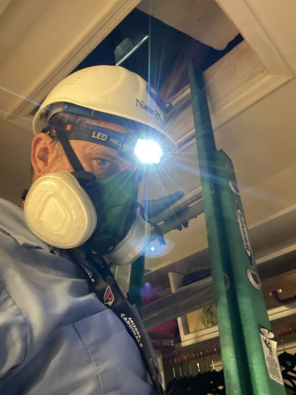Attic Inspection (for rat activity)