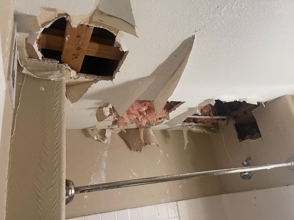 Rat Damage (to PEX pipes in attic space)