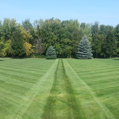 Avatar for New Prairie Lawn Care