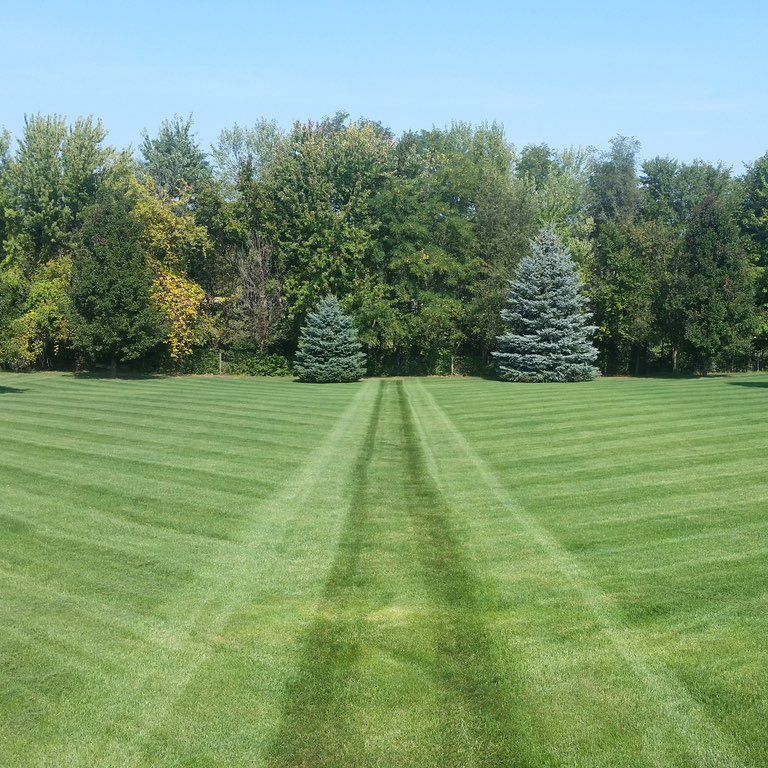 New Prairie Lawn Care