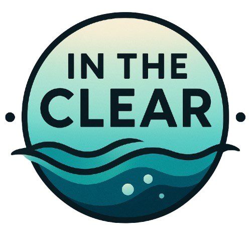 IN THE CLEAR