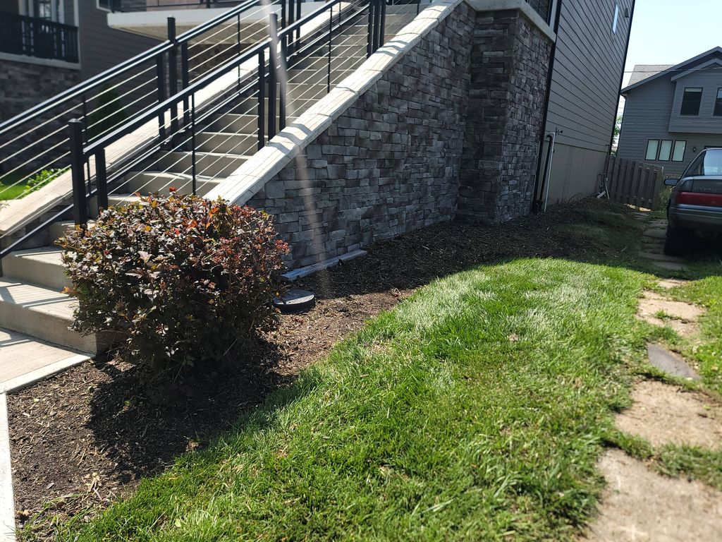 after Bush trimming and clean up