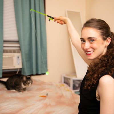 Avatar for Experienced and Caring Pet Sitter