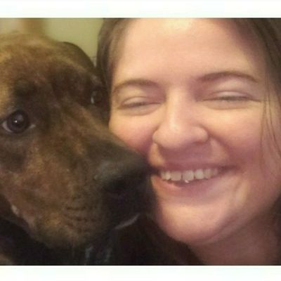 Avatar for Behav-N-Dogs Pet Services