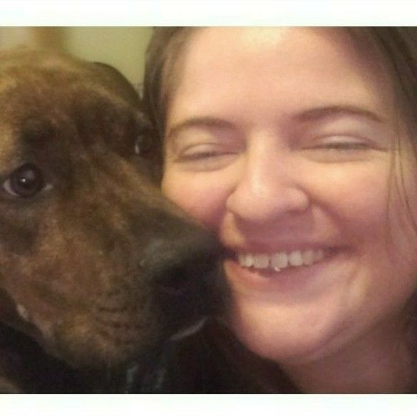 Behav-N-Dogs Pet Services