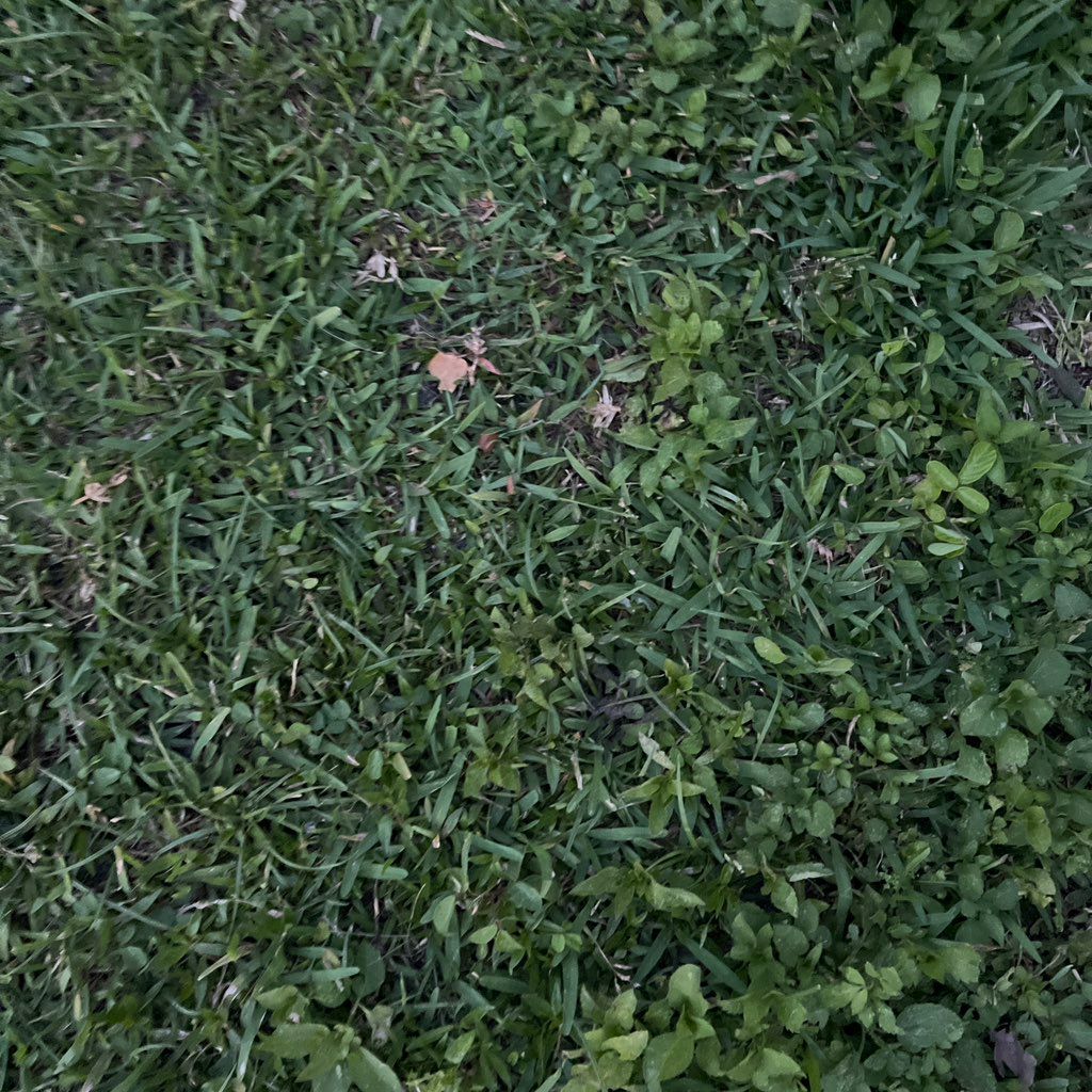 Franceschi Lawn Service