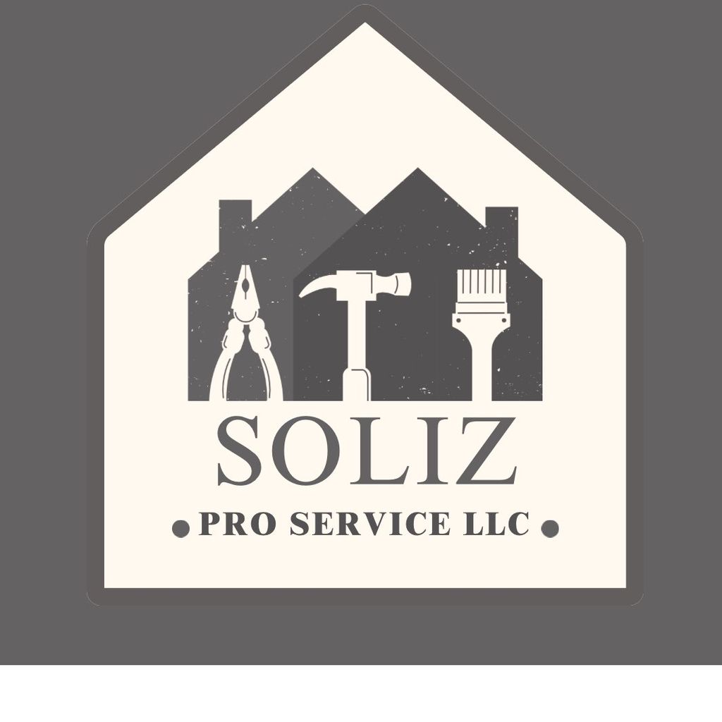 SOLIZ PRO SERVICE LLC