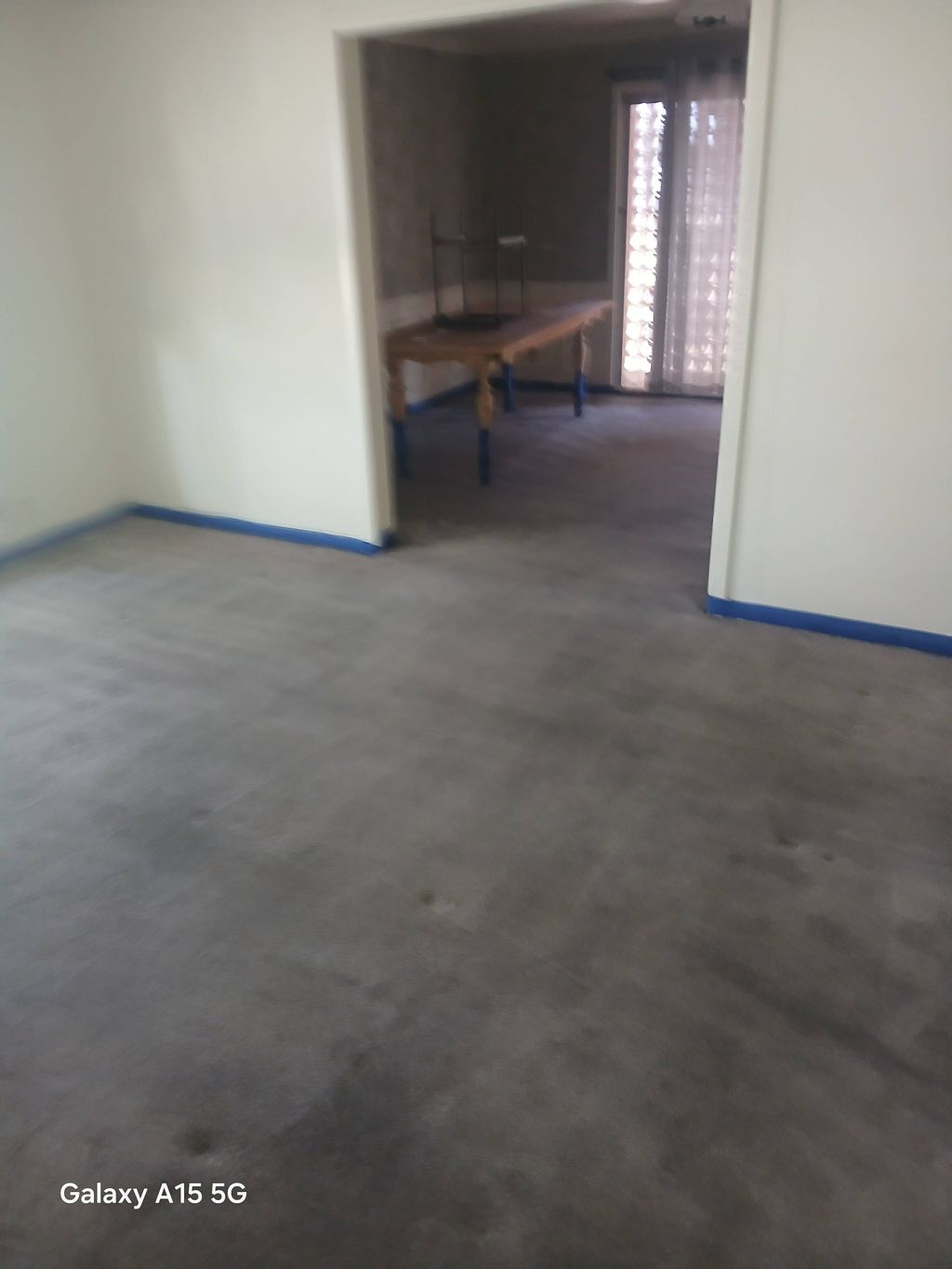 carpet dye complete