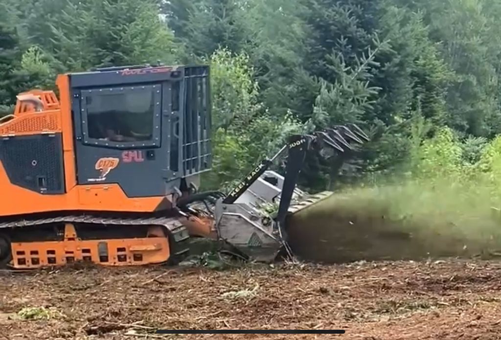 Durham Forestry Mulching Land Clearing