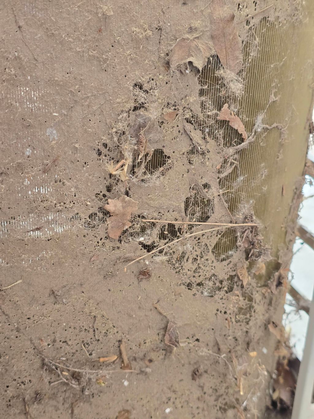 Mini Split condenser in Kingsburg -  Before