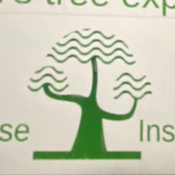 Osi tree experts