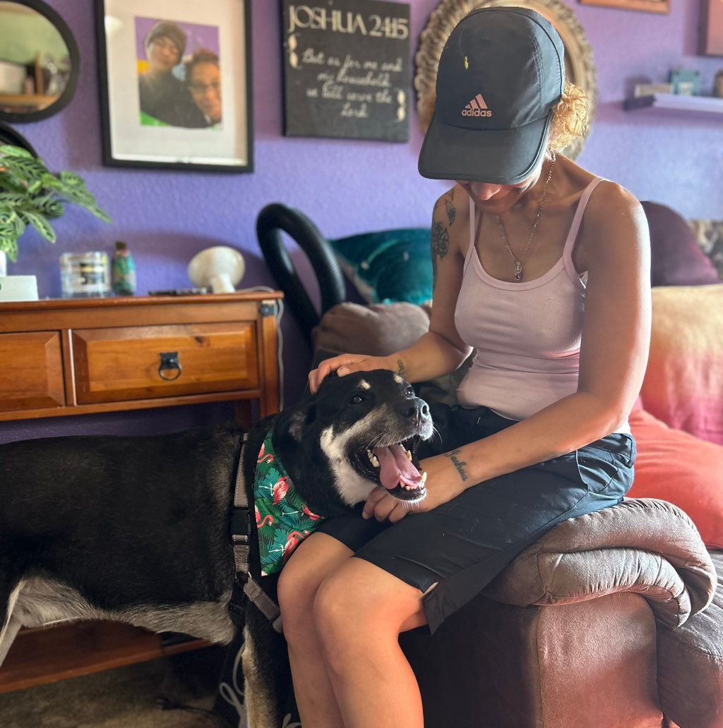 With love mobile pet grooming llc