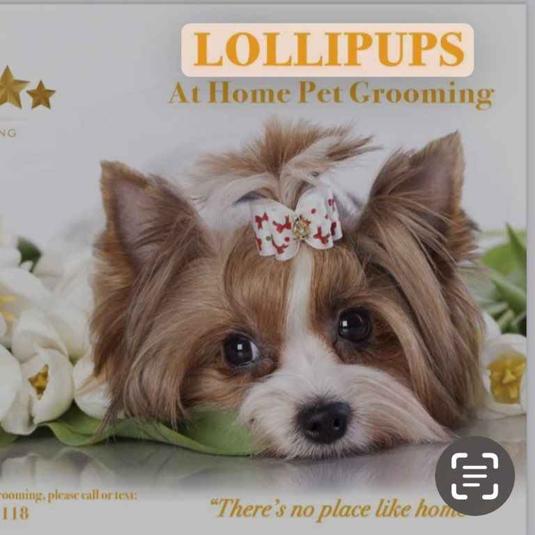 Lollipups Pet Grooming