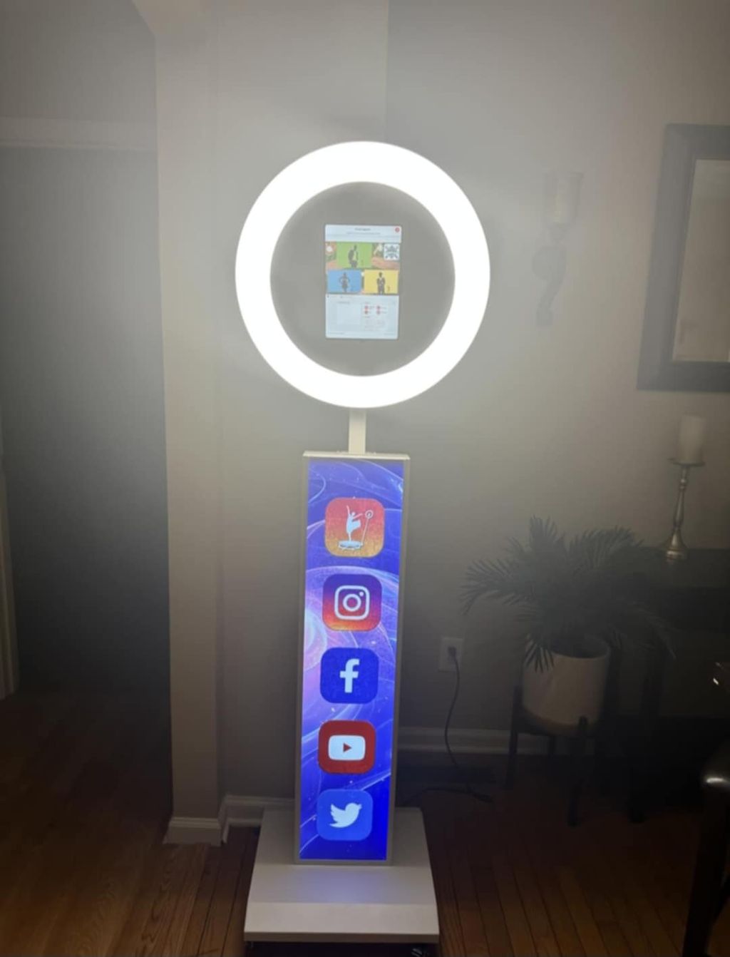 Projects and media