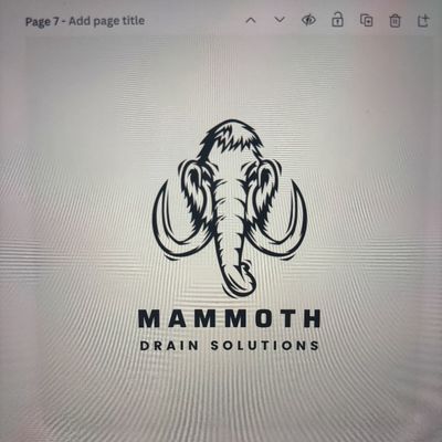 Avatar for Mammoth renovation