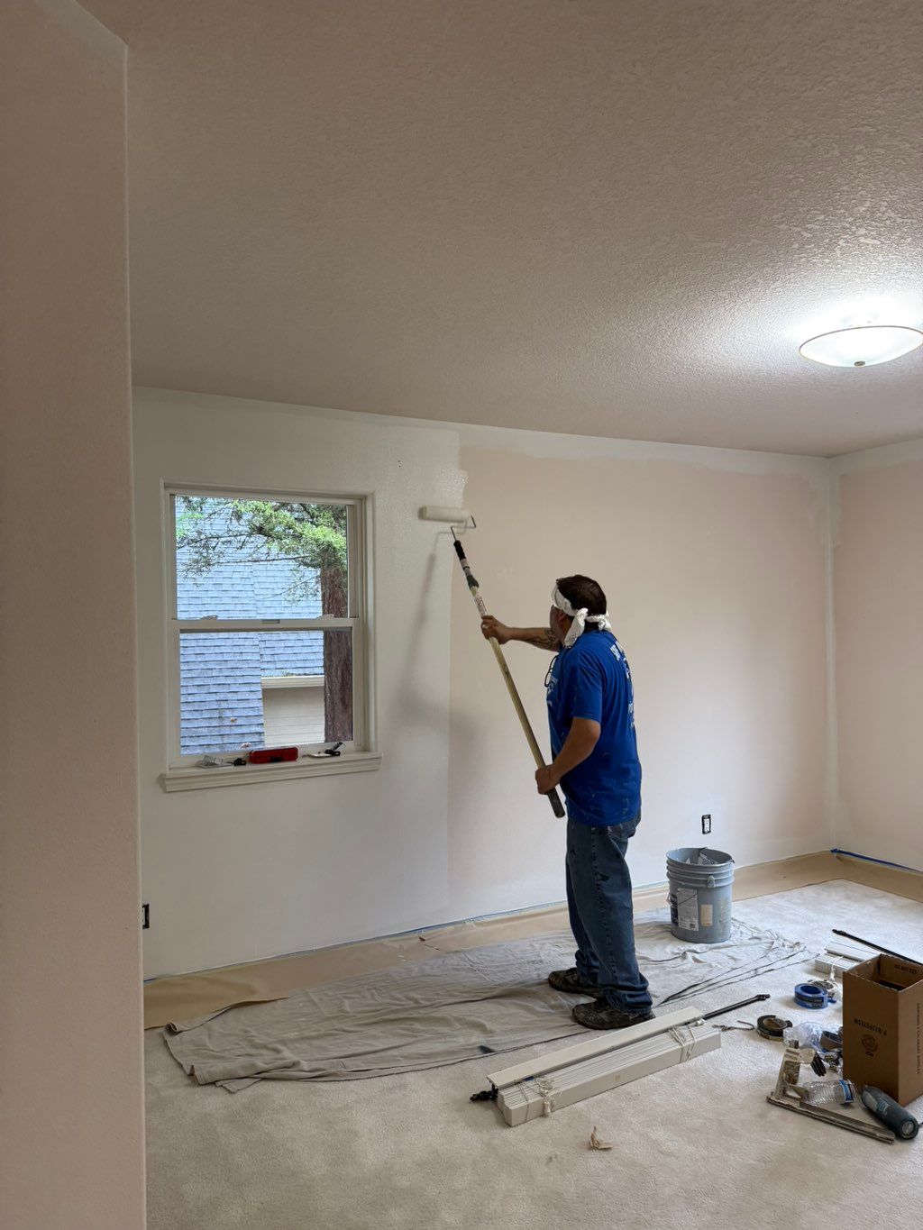 Interior paint job 3+ rooms light color change 