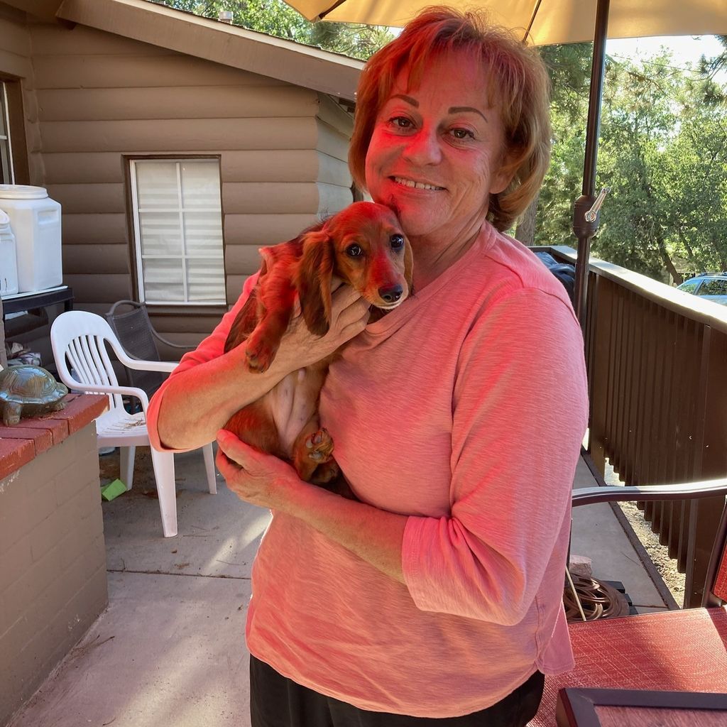 Nancy's Pet Care