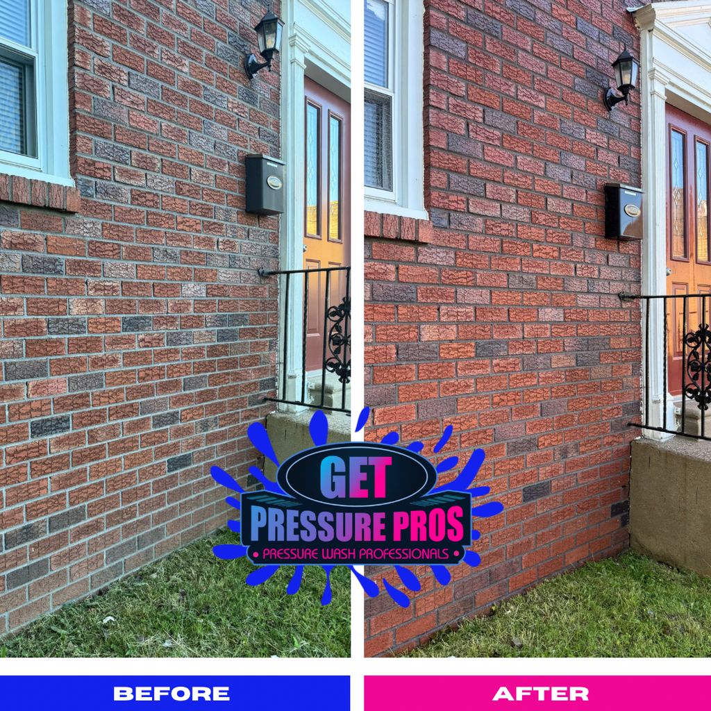 House Wash to remove algae growth on brick work
