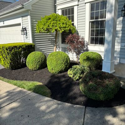 Avatar for Worthy Landscaping Services
