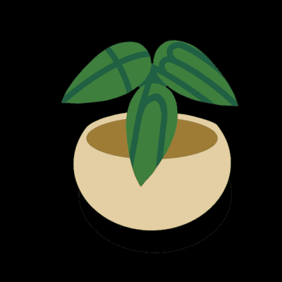 Avatar for Tutoring Near Me