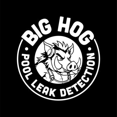 Avatar for Big Hog pool leak detection and repairs