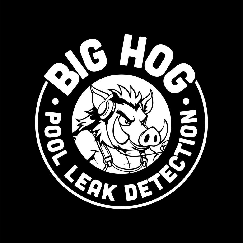 Big Hog pool leak detection and repairs