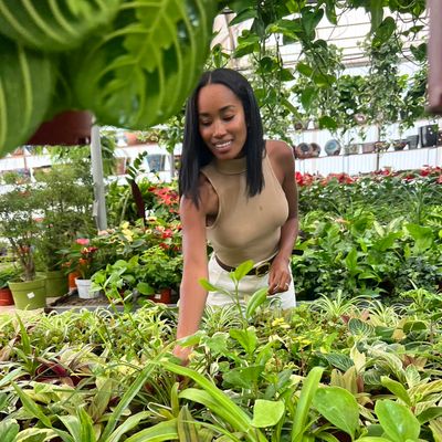 Avatar for SP Conscious Living