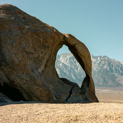 Avatar for Peak Performance Training