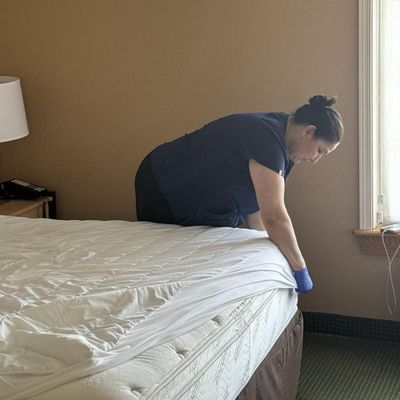 Avatar for Vidal Cleaning