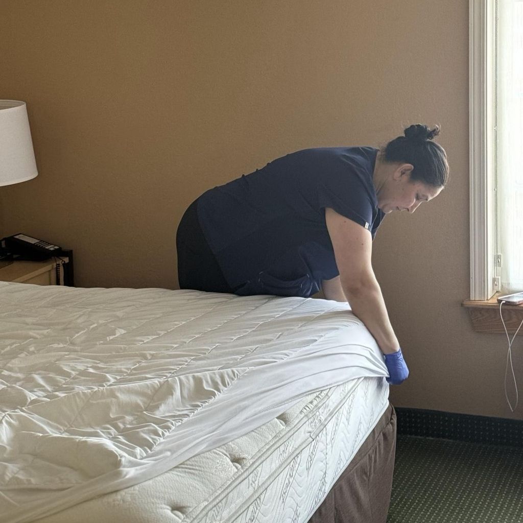 Vidal Cleaning