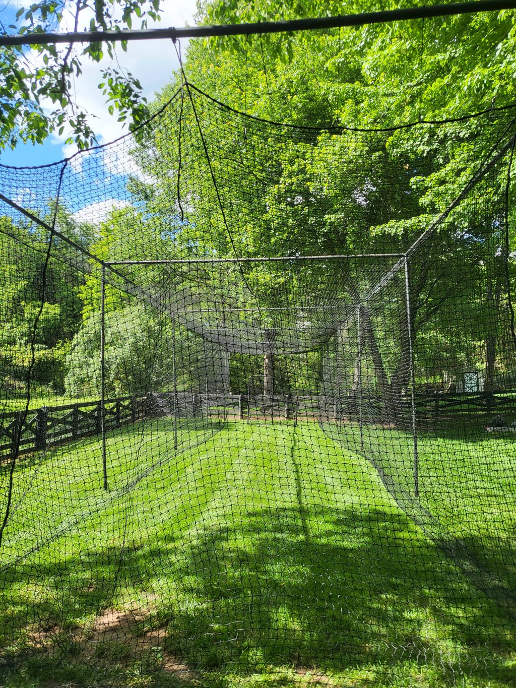 70' long batting cage assembly