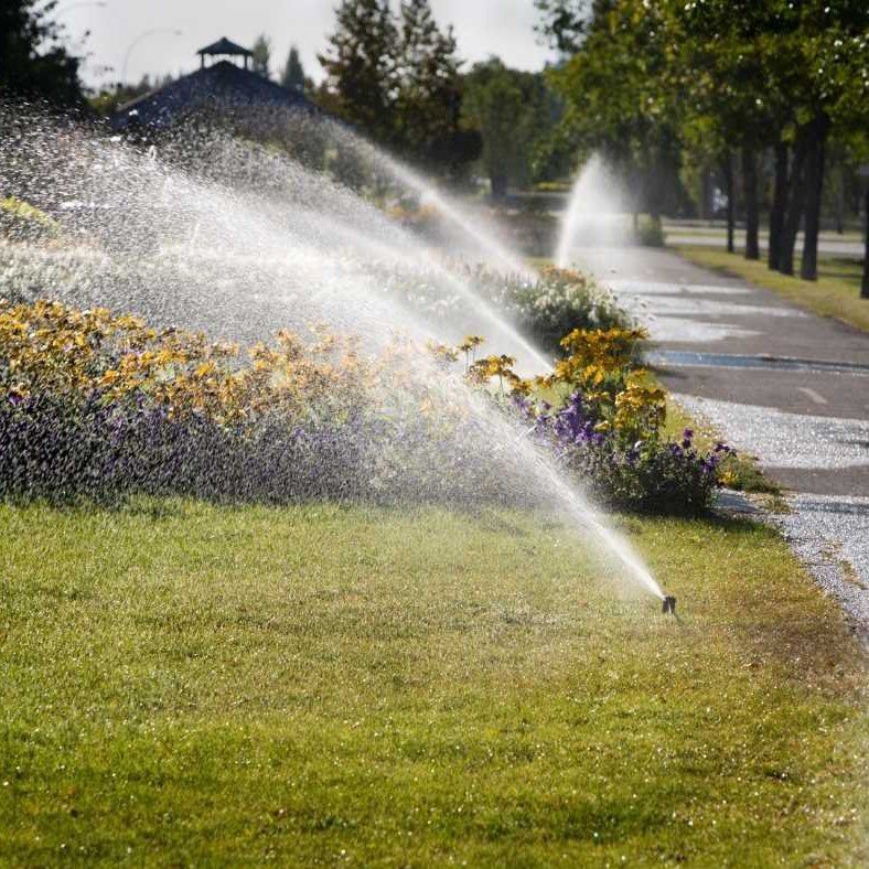 Northern Colorado Irrigation