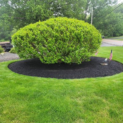 Avatar for JR landscaping