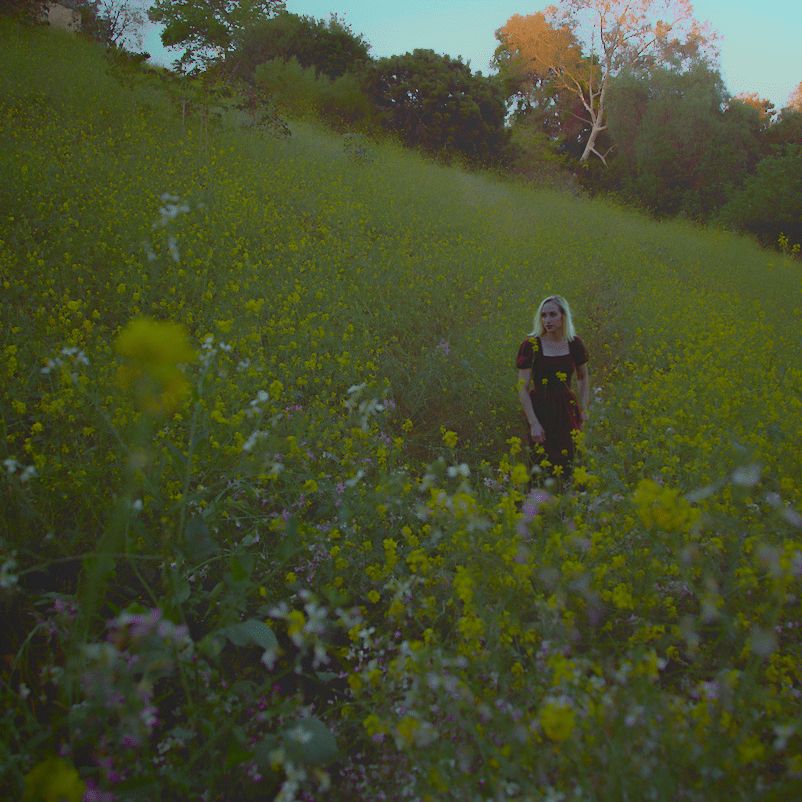 YM Photography