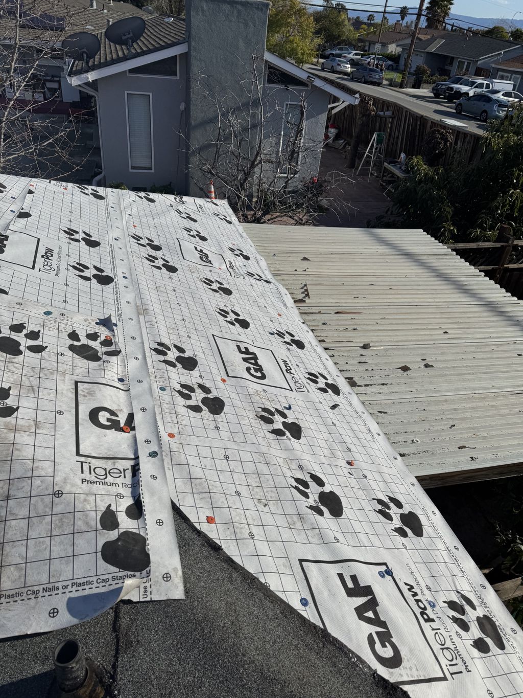 Projects and media