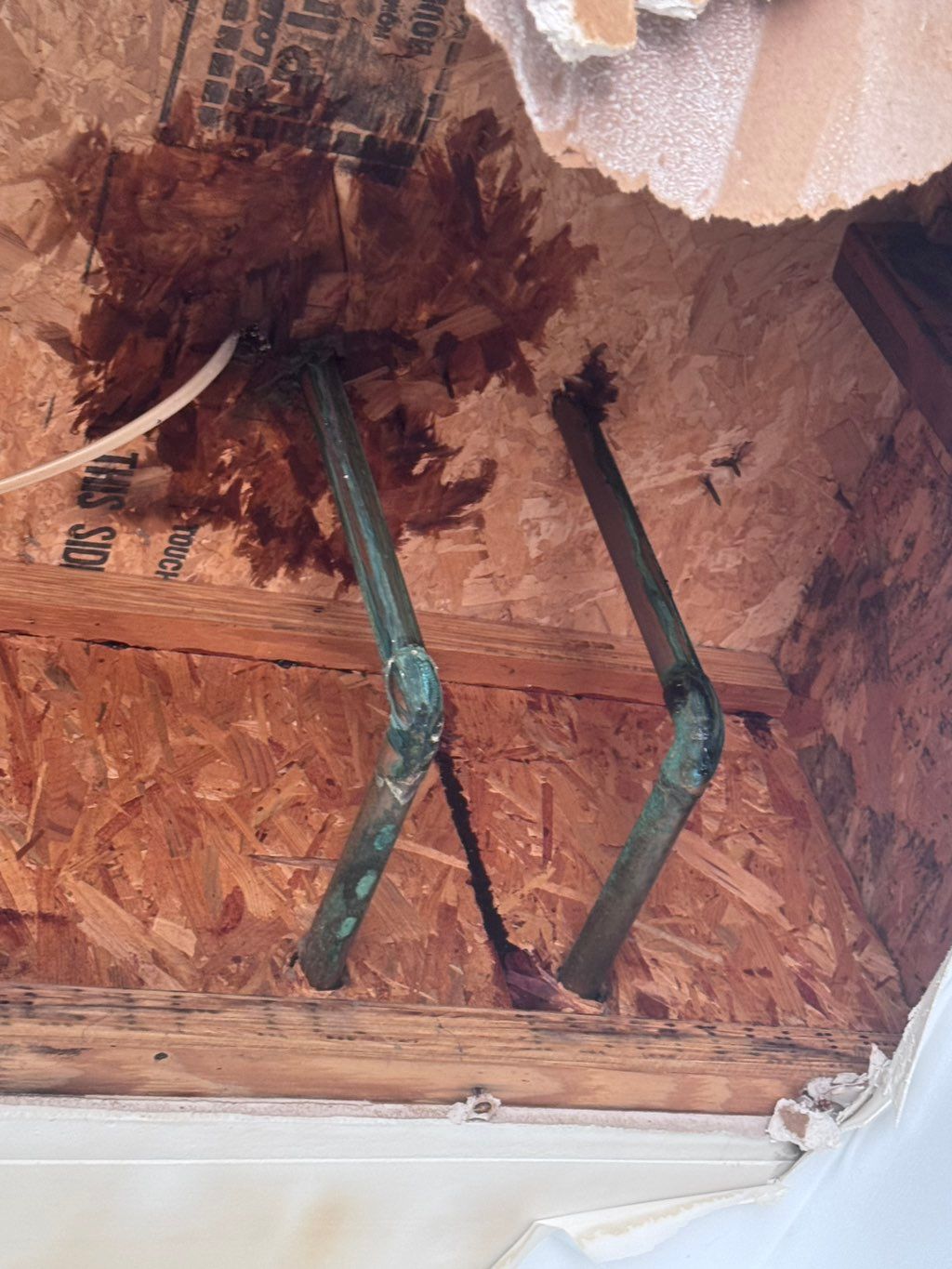 Before leak founded on hot water line