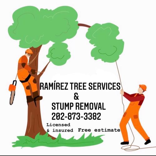 Ramirez Tree Services & Stump Removal  LLC