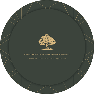 Avatar for Evergreen Tree & Stump Removal