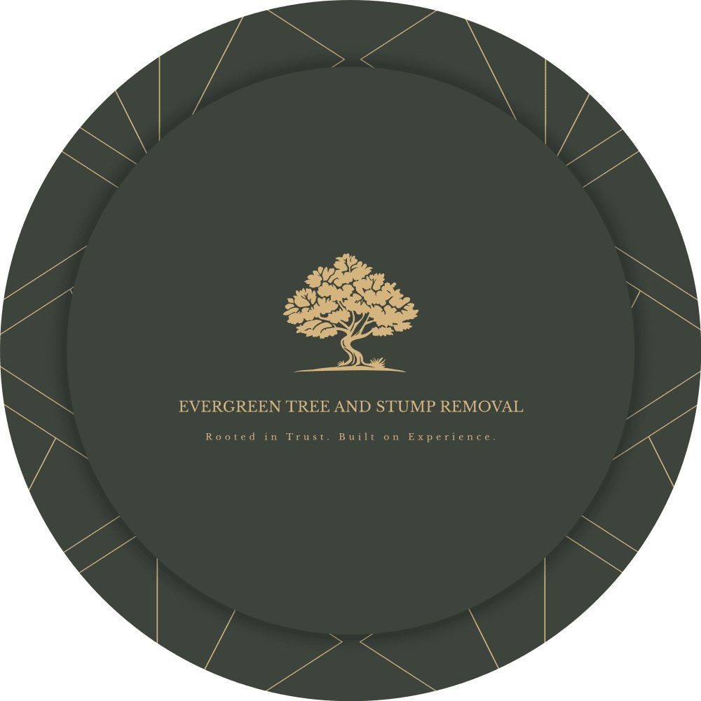 Evergreen Tree & Stump Removal