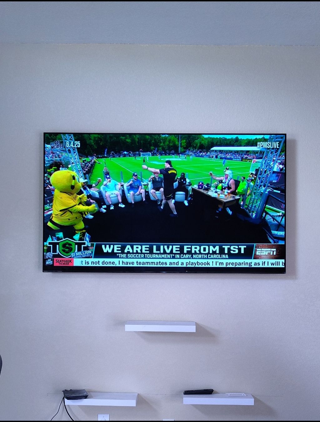75 inch Sony TV mount with wires hidden