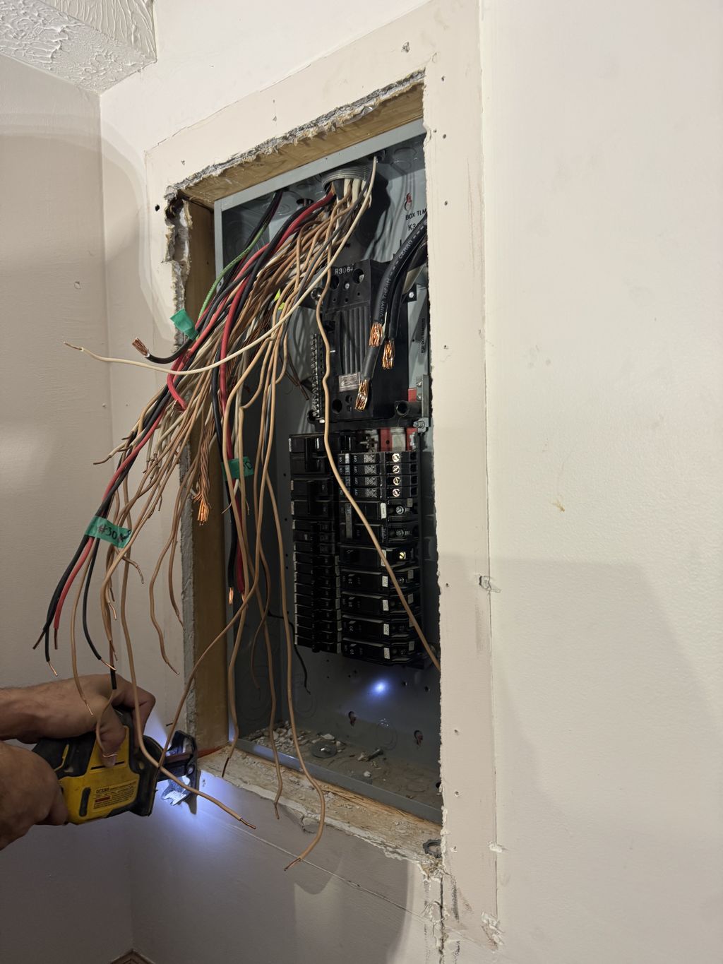 Projects and media