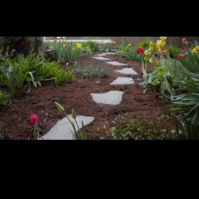 Avatar for Lucas landscaping and Construction