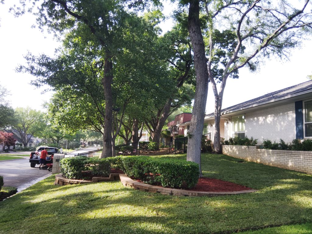 Sod Installed, Mulching